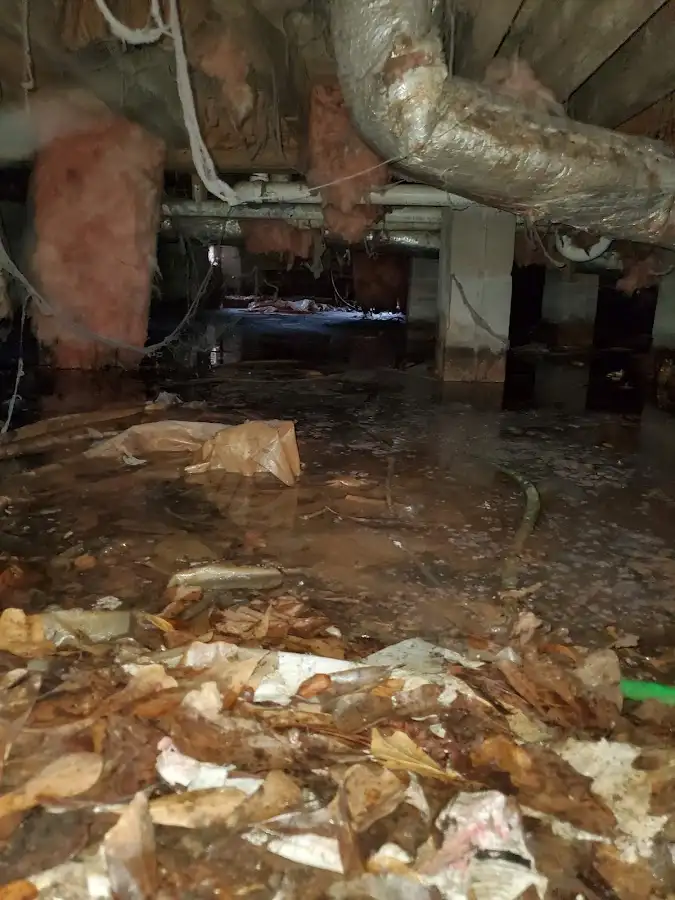 Crawl space flood assessment for Leak Detection & Repair in Urban Honolulu
